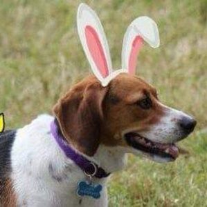 Meet your Posher, Debra